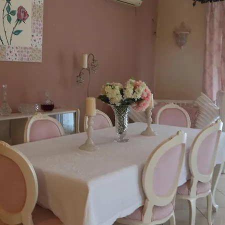 公寓 Chrisas Chania 干尼亞